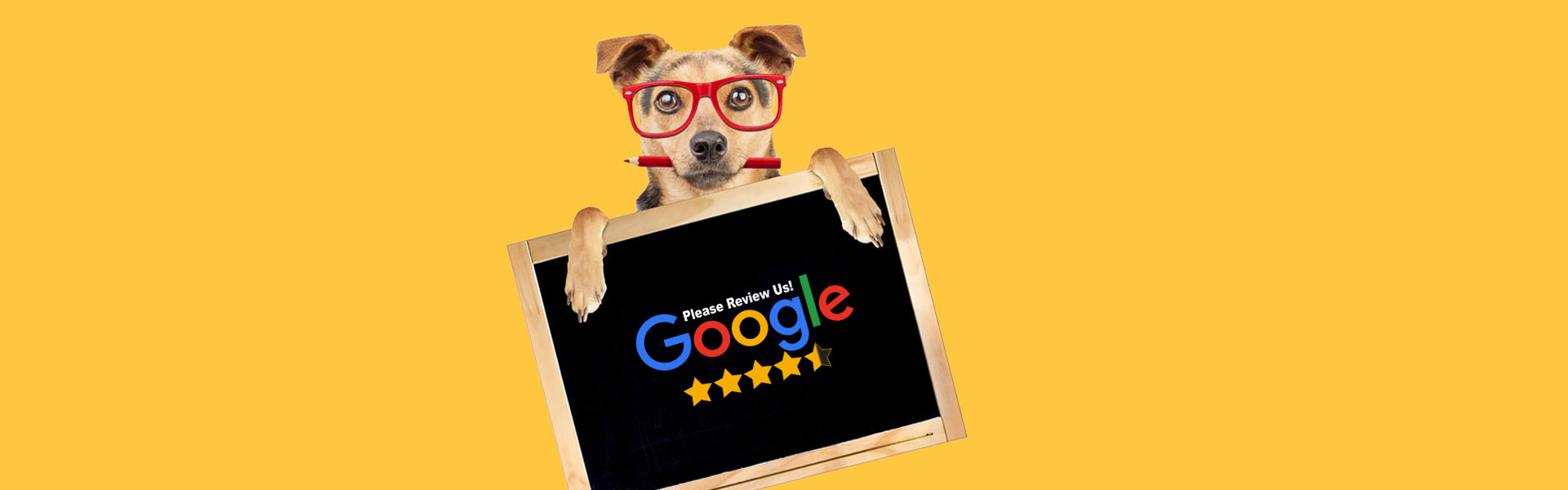 Why are Google reviews important for business?
